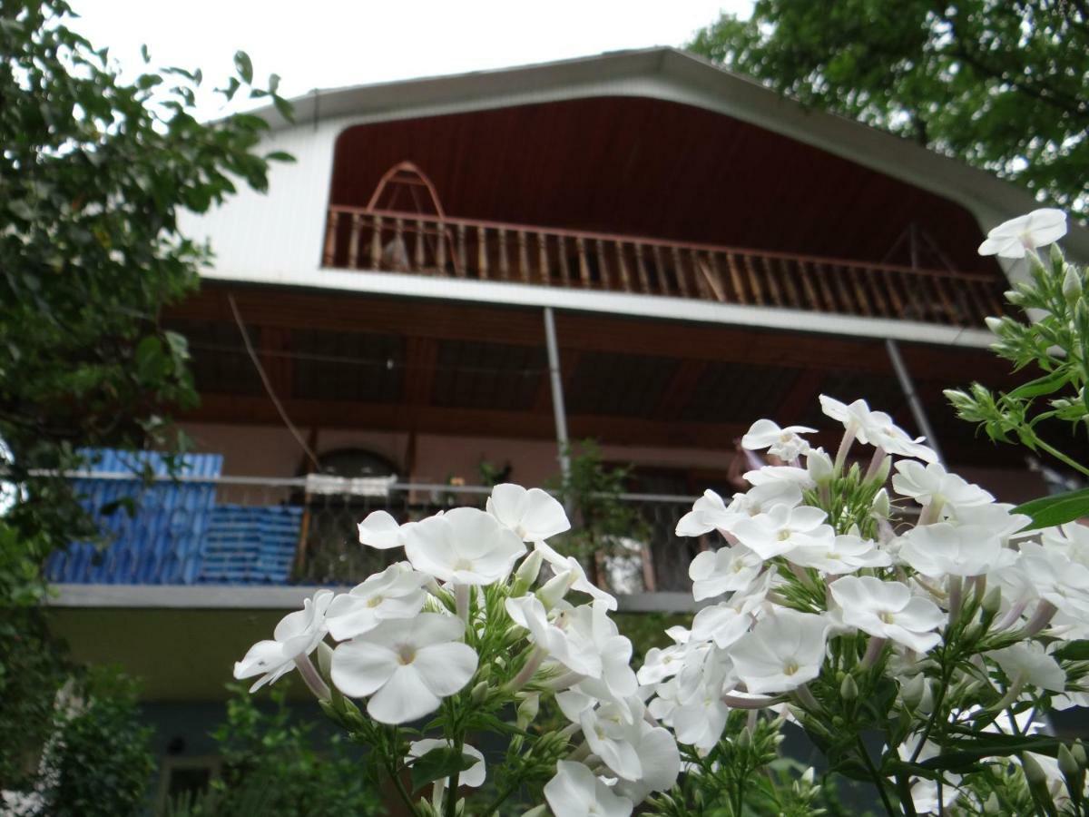 Dalko Hotel Borjomi Exterior photo