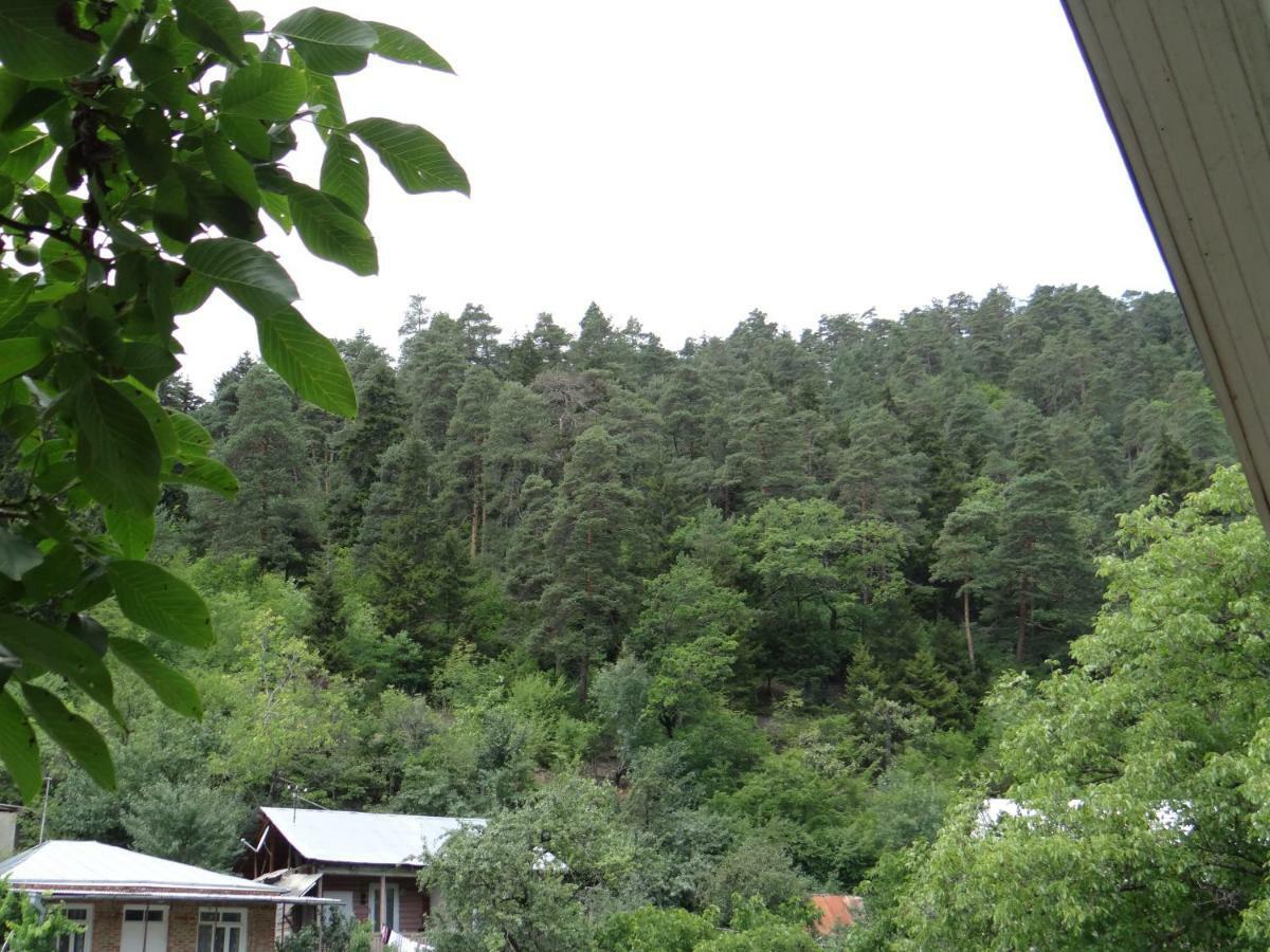 Dalko Hotel Borjomi Exterior photo
